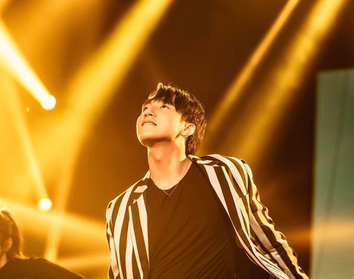 Nghệ sĩ Việt có mức thu nhập khủng nhất showbiz 2019
