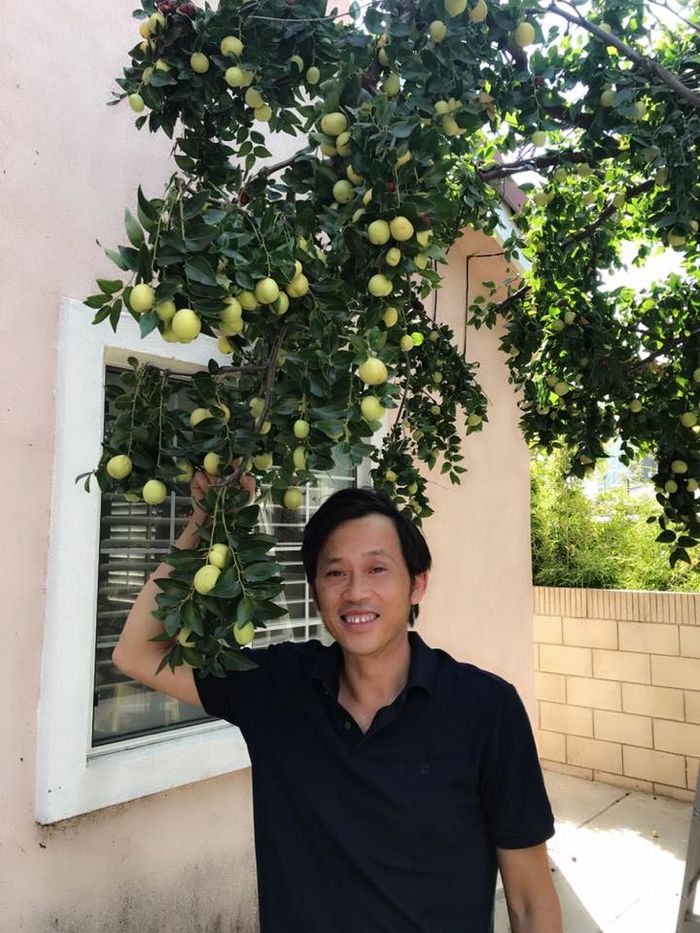 Nghệ sĩ Việt có mức thu nhập khủng nhất showbiz 2019