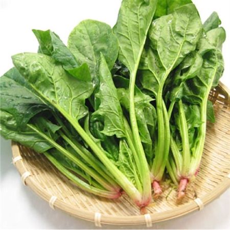 Đậu nành, cà tím, mộc nhĩ... nếu nấu không chín kĩ sẽ gây ngộ độc
