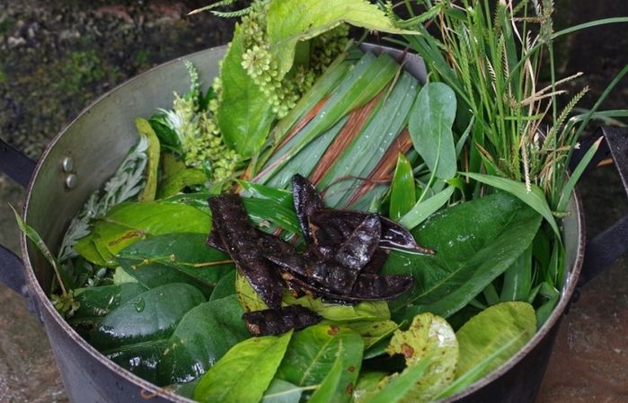 Phụ nữ có thai, đến kì kinh nguyệt không nên xông lá trị cảm cúm