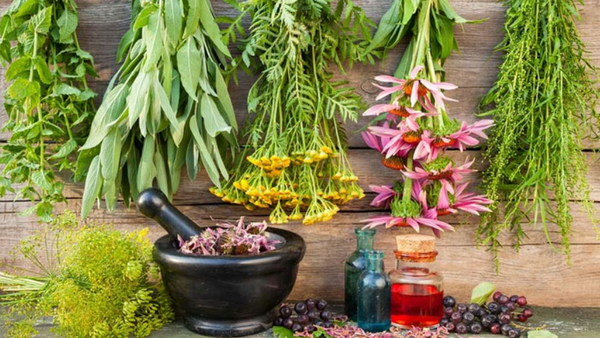 Phụ nữ có thai, đến kì kinh nguyệt không nên xông lá trị cảm cúm