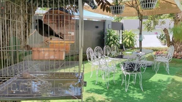Quốc Trường hé lộ những góc an nhiên trong khuôn viên biệt thự 25 tỷ