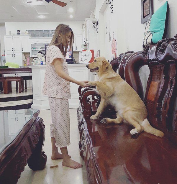 Sao Việt ở nhà - ra phố quá khác biệt, nhìn Ngọc Trinh mới hết hồn!