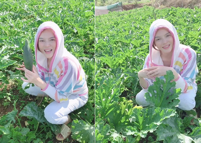Sao Việt ở nhà - ra phố quá khác biệt, nhìn Ngọc Trinh mới hết hồn!