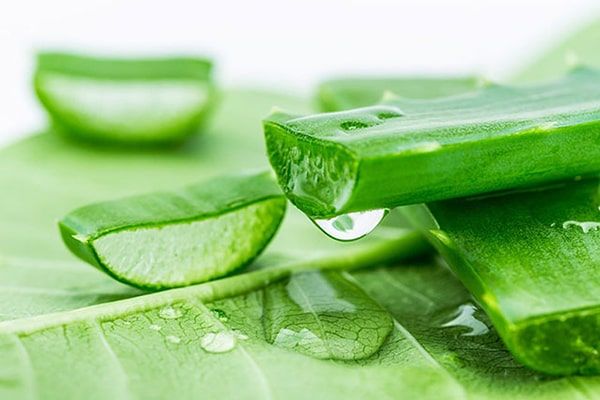 Thoa mật ong, dưa leo - mặt nạ dưỡng môi hồng hào, tránh thâm, khô nứt