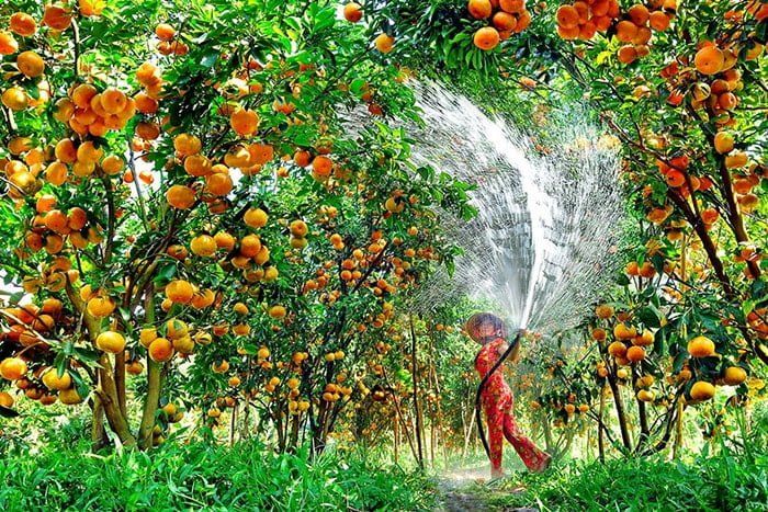 Đi khắp VN: Tháng 11 Hà Giang tam giác mạch, tháng 4 Quy Nhơn vẫy gọi