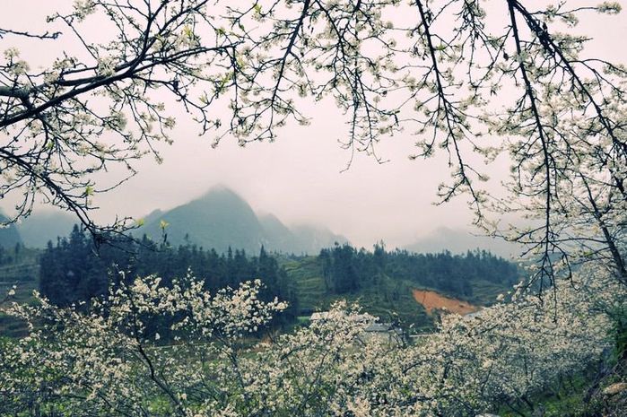 Đi khắp VN: Tháng 11 Hà Giang tam giác mạch, tháng 4 Quy Nhơn vẫy gọi