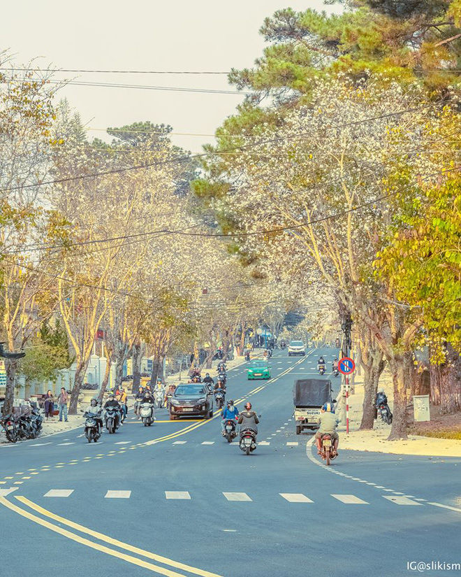 Đà Lạt đẹp như tranh vẽ, được ví là Nhật Bản thu nhỏ