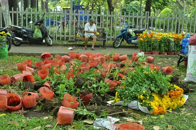 Chợ hoa Sài Gòn không hét giá, người người tích cực bày Tết