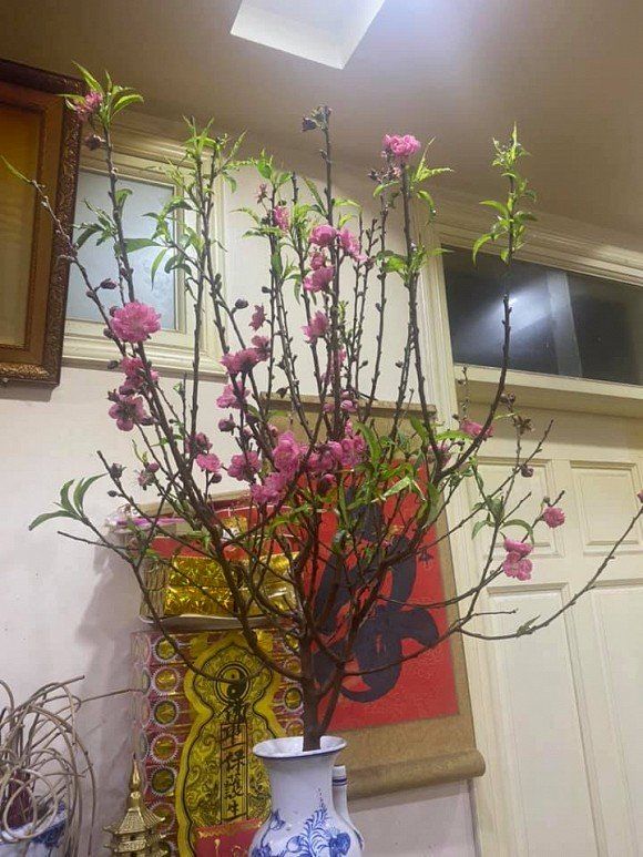 Bắc Đẩu Công Lý khoe ảnh về không gian sống hoành tráng đáng mơ ước