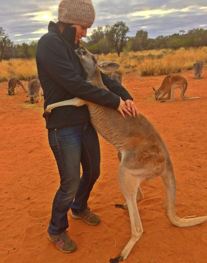 Cô kangaroo được giải cứu, mỗi ngày đều ôm tình nguyện viên để cảm ơn
