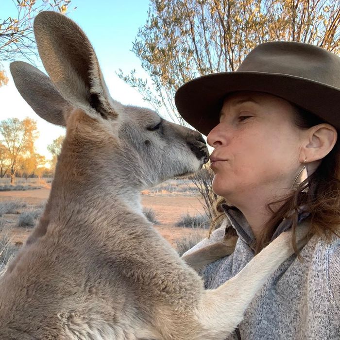 Cô kangaroo được giải cứu, mỗi ngày đều ôm tình nguyện viên để cảm ơn