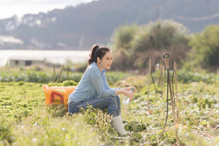 Cuộc sống của sao Việt rời showbiz: Lý Nhã Kỳ về trang trại làm nông