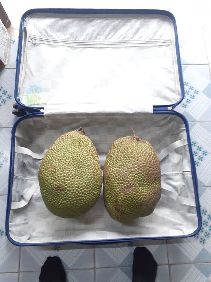 Hành trang lên thành phố ngày đầu năm của CĐM: Va li chất đầy đồ ăn