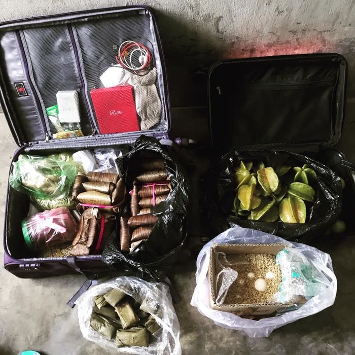 Hành trang lên thành phố ngày đầu năm của CĐM: Va li chất đầy đồ ăn