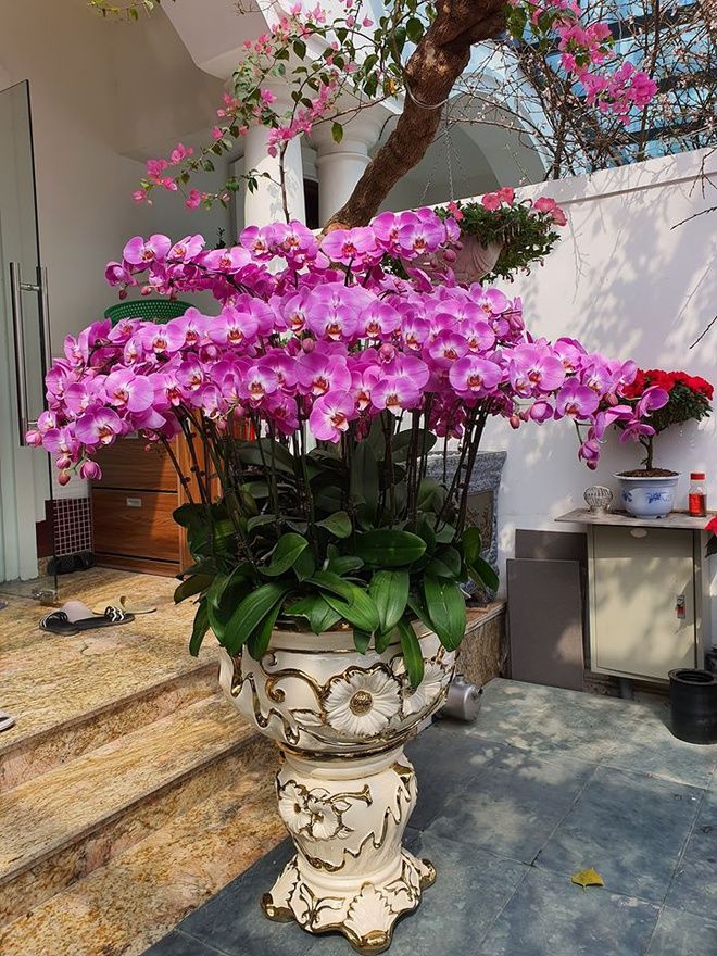Sao Việt tất bật đón Tết: Diễm My đi tảo mộ, Thanh Tú gói bánh chưng