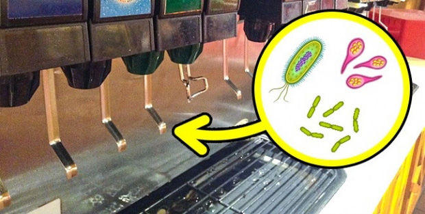 Bí mật của cửa hàng đồ ăn nhanh: salad khá béo, vòi nước ngọt siêu bẩn