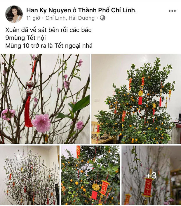 Sao Việt nô nức ngày Tết: Erik bồi hồi trên chuyến bay về quê