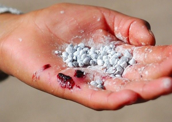 Son môi làm từ rệp, tưởng kỳ lạ nhưng thực chất được ưa chuộng lâu đời
