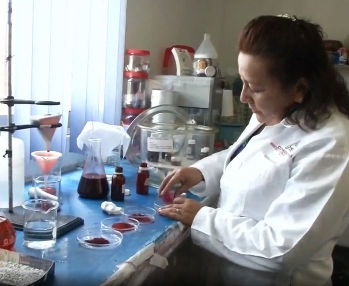 Son môi làm từ rệp, tưởng kỳ lạ nhưng thực chất được ưa chuộng lâu đời