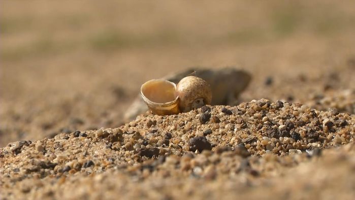 Sông Yom ở Thái Lan khô cằn như sa mạc do biến đổi khí hậu