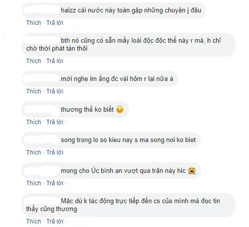 Thảm họa mới của Úc: Đối diện với loài nhện nguy hiểm nhất hành tinh