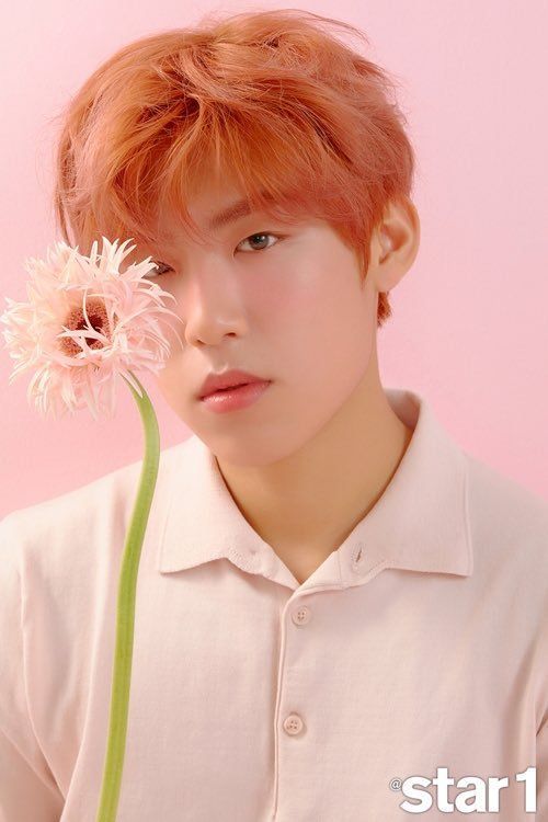 Tình trạng sức khỏe đáng báo động của thần tượng Kpop