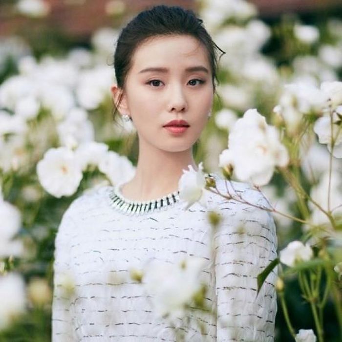Top 10 mỹ nhân tài năng nhất truyền hình Hoa ngữ: Tôn Lệ xếp nhất