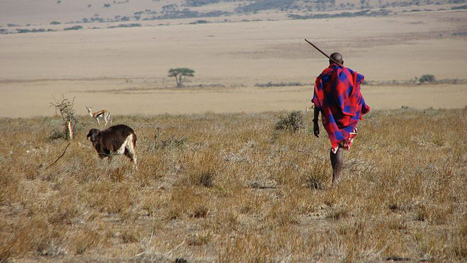 Văn hóa bộ lạc Maasai: Nhổ nước bọt khi gặp nhau là một sự trân trọng