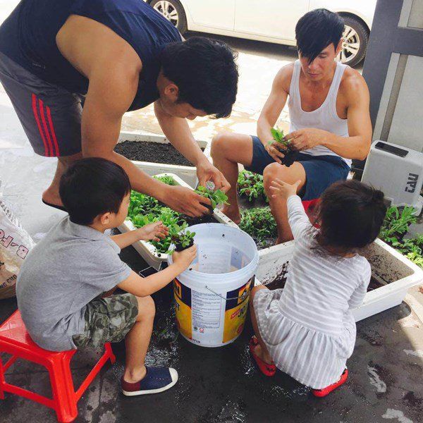 Vườn rau sạch của các sao Việt: Lý Hải, Thủy Tiên ươm đầy rau xanh