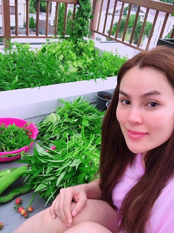 Vườn rau sạch của các sao Việt: Lý Hải, Thủy Tiên ươm đầy rau xanh