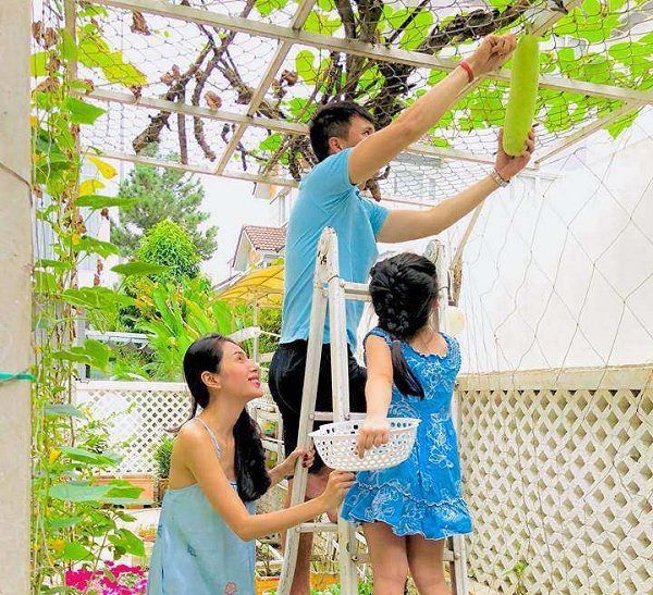 Vườn rau sạch của các sao Việt: Lý Hải, Thủy Tiên ươm đầy rau xanh