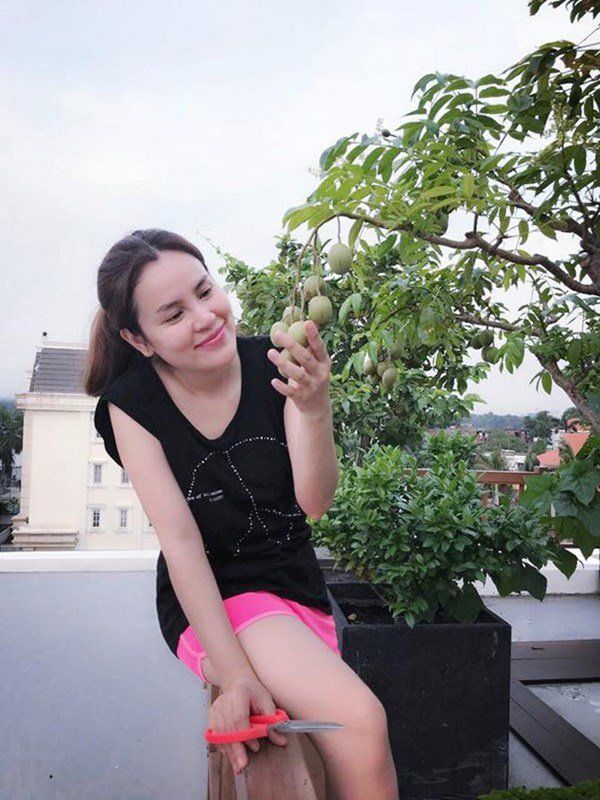 Vườn rau sạch của các sao Việt: Lý Hải, Thủy Tiên ươm đầy rau xanh
