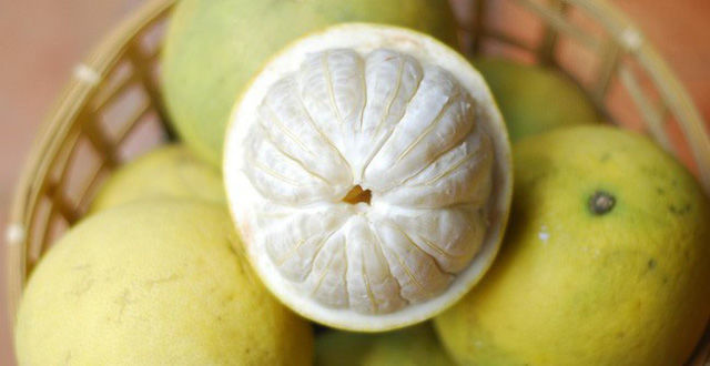 10 loại trái cây giàu Vitamin C, tăng miễn dịch: Quả me rừng xếp nhất