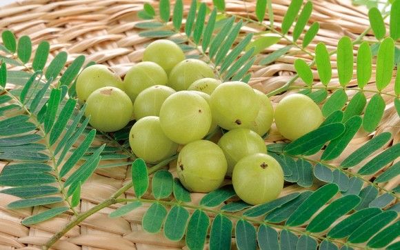 10 loại trái cây giàu Vitamin C, tăng miễn dịch: Quả me rừng xếp nhất