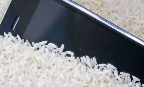 Mẹo hay xử lý điện thoại bị vô nước: Bỏ ngập vào thùng gạo để hút ẩm