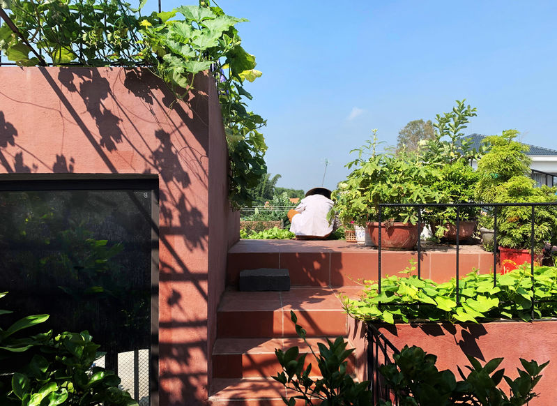 Nhà có vườn rau 7 bậc thang trên mái ở Quảng Ngãi được lên báo Mỹ