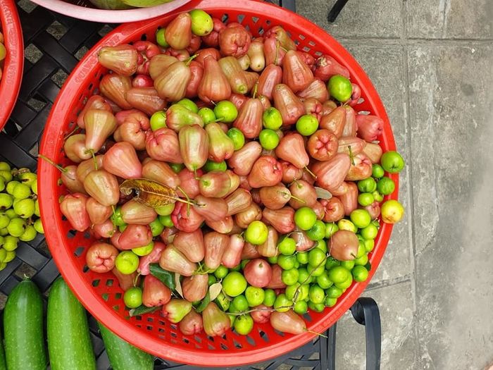 Chán phố thị, Minh Hằng và 3 mỹ nhân Việt về quê trồng rau, nuôi gà