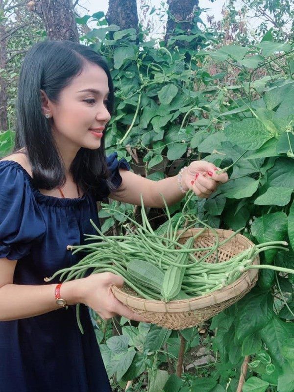 Chán phố thị, Minh Hằng và 3 mỹ nhân Việt về quê trồng rau, nuôi gà