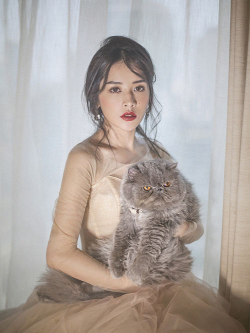 Sao Việt cùng thú vui cực chất: Chăm thú cưng hệt như bố mẹ chăm con