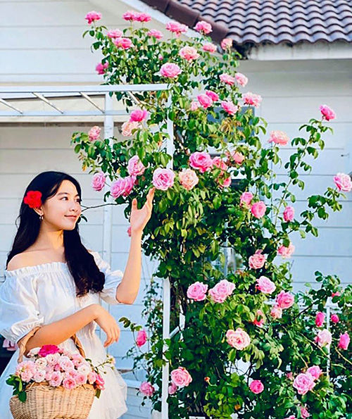 Con gái Quyền Linh xinh như Hoa khôi, Đông Nhi tựa vào ông xã để ngủ