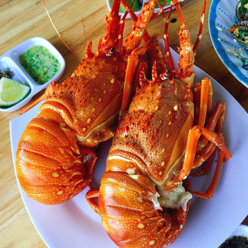 Tôm hùm 20 triệu/1 con: đại gia xếp hàng cũng chưa chắc mua được