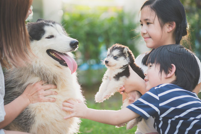 Bảo vệ trẻ khỏi virus Corona: Ở phòng thoáng, trên 25 độ C
