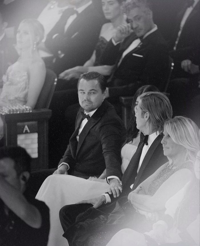 Hãy yêu ai đó nhìn bạn giống như Leo nhìn Brad Pitt