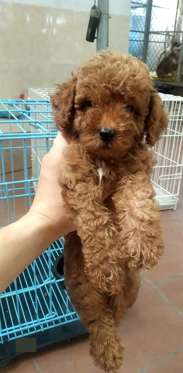 Hình ảnh bộ ba đáng yêu đứng chịu phạt cùng nhau gây “bão” MXH