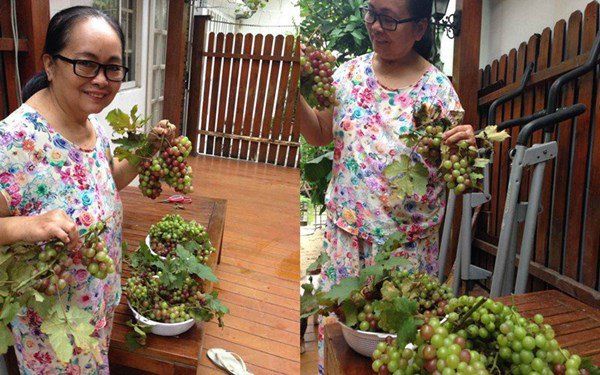 Hội sao nữ Việt mua nhà tiền tỷ báo hiếu cha mẹ trước khi xuất giá