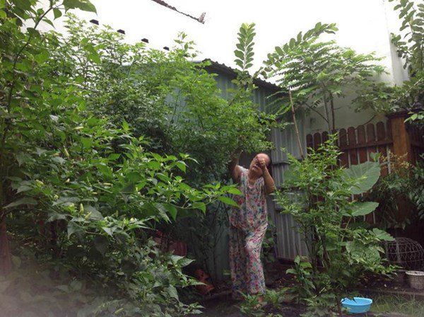 Hội sao nữ Việt mua nhà tiền tỷ báo hiếu cha mẹ trước khi xuất giá