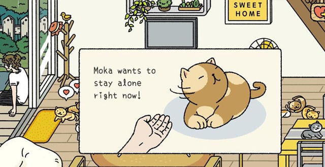 CĐM tranh cãi xung quanh việc gian lận tim trong Adorable Home
