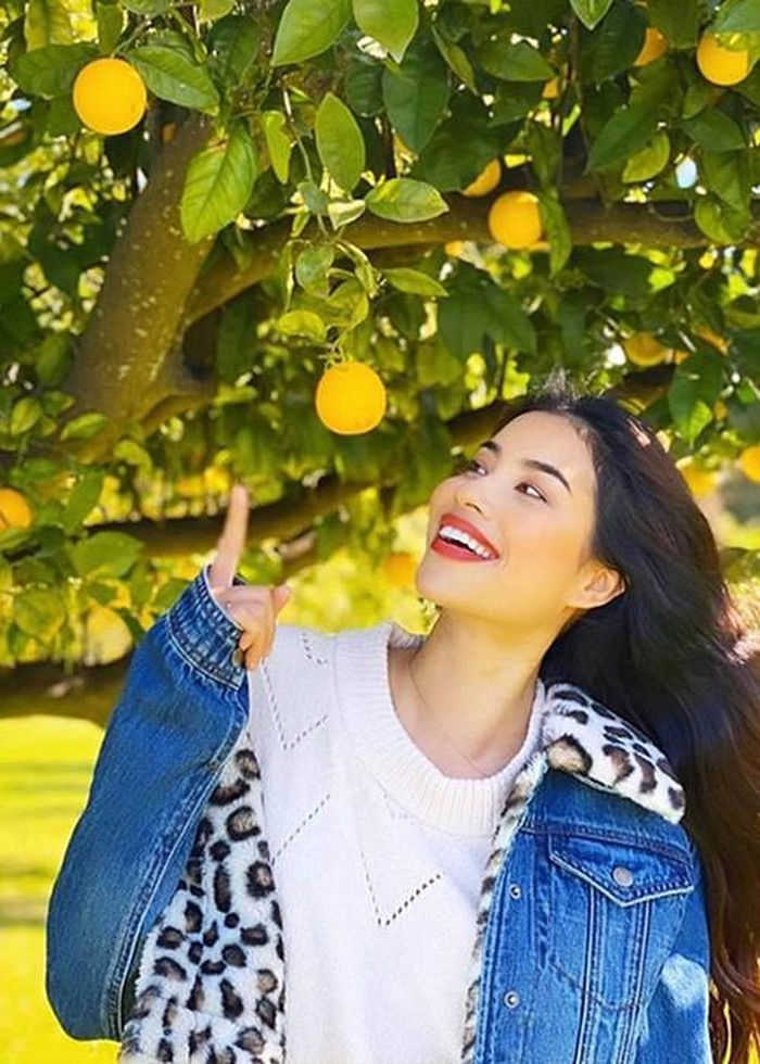 Không tiếc khi bỏ showbiz, mẹ một con Phạm Hương ngày càng viên mãn