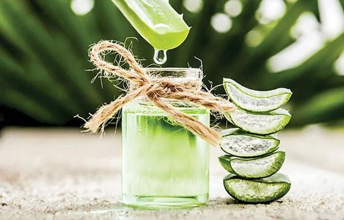 Mật ong, dầu oliu... nguyên liệu giúp lông mi cong dài tự nhiên